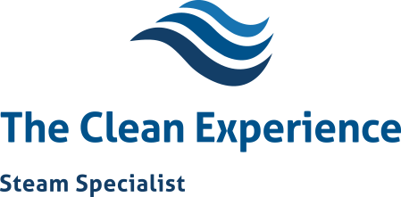 Logo The Clean Experience